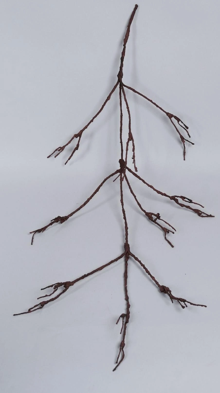 Foam Creeper Hanging 100Cm